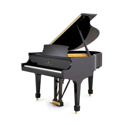 /pianos/steinway-pricing/pianos-pricing/checkout?model=ModelS